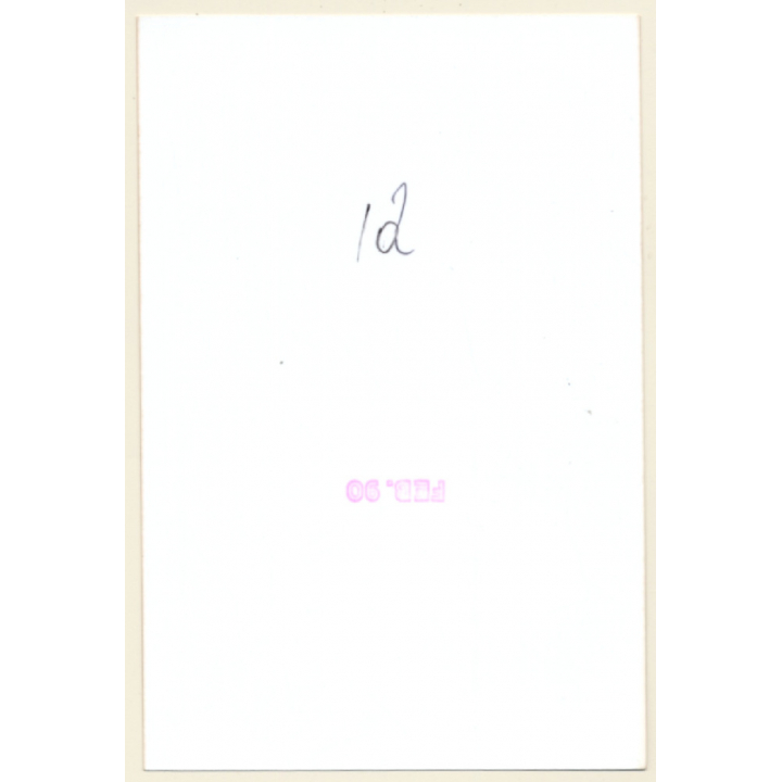 Erotic Study: Racy Natural Darkhaired Nude *4 (Vintage Photo ~1990s)