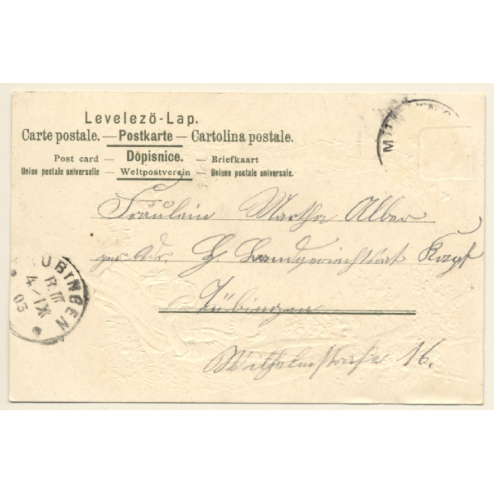 Honau / Germany: Schloss Lichtenstein *5 / 's Bärbele (Vintage PC Litho 1903)