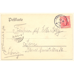 Finsterbergen / Germany: Blick vom Kurhaus Felsenstein (Vintage PC 1905)
