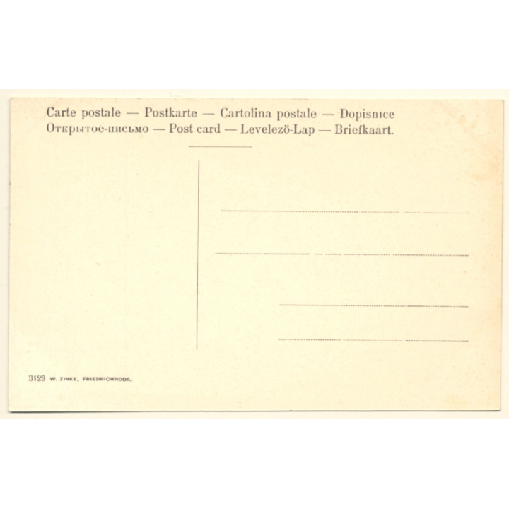 Tambach Dietharz / Germany: Neues Haus - Thüringer Wald (Vintage PC 1910s)