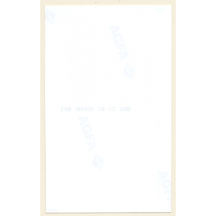 Erotic Study: Great Take Of Pale Darkhaired Nude On Bed (Vintage Photo ~1990s)