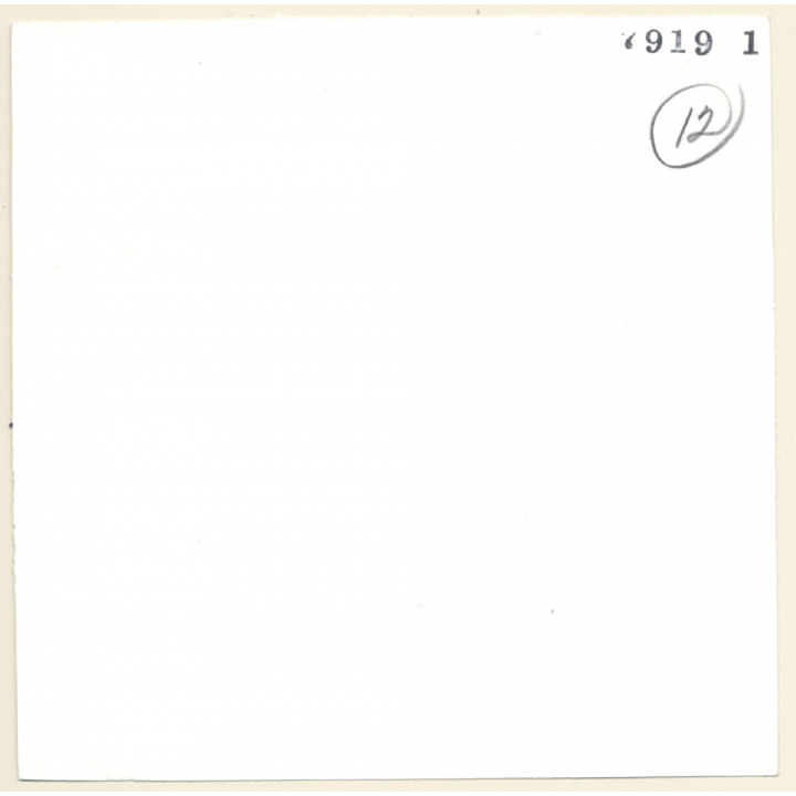 Erotic Study: Natural Dark-Skinned Semi Nude With Afro *3 (Vintage Photo KORENJAK 1970s/1980s)