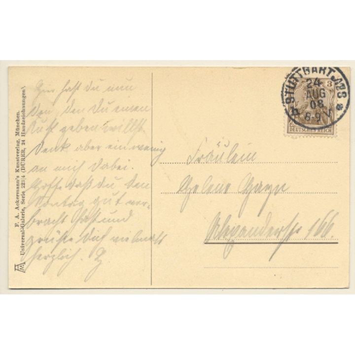 Albrecht Dürer: Young Hare / Rabbit (Vintage Artist PC 1908)