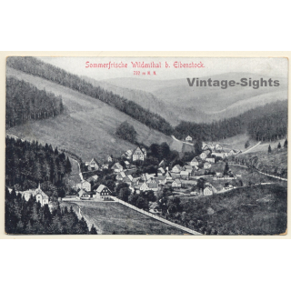 Wildenthal bei Eibenstock / Erzgebirge: Panorama View (Vintage PC 1910s)