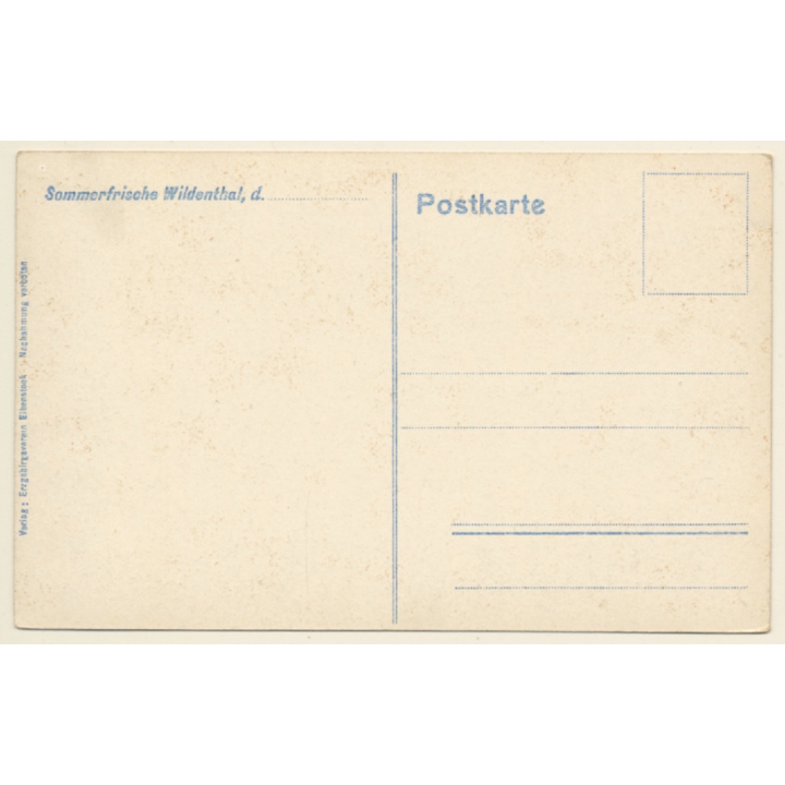 Wildenthal bei Eibenstock / Erzgebirge: Panorama View (Vintage PC 1910s)