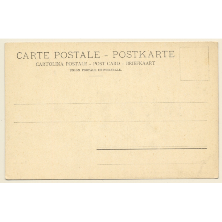 Thun / Switzerland: Teilansicht & Schloss (Vintage PC 1900s)