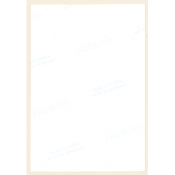 Artistic Erotic Study: Smiling Brunette Beauty Flashes Boobs Outdoors (Vintage Photo ~1990s)