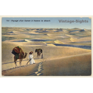 Lehnert & Landrock N°792: Voyage d'un harem à travers le desert / Camels (Vintage PC ~1910s/1920s)