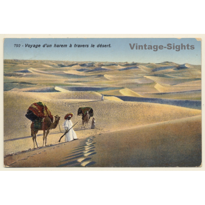 Lehnert & Landrock N°792: Voyage d'un harem à travers le desert / Camels (Vintage PC ~1910s/1920s)