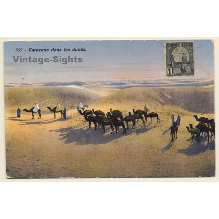 Lehnert & Landrock N°555: Caravane dans les Dunes / Camels (Vintage PC 1910s/1920s)