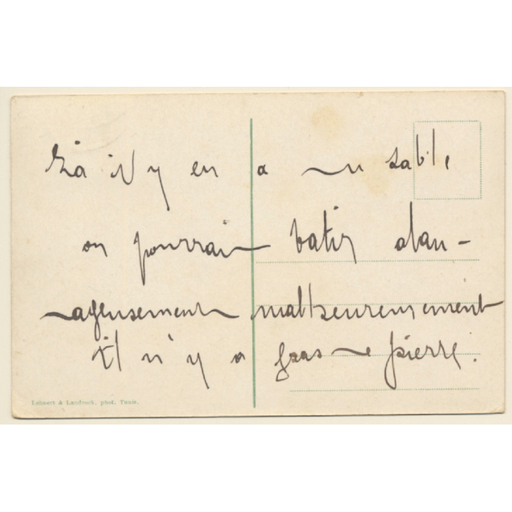 Lehnert & Landrock N°555: Caravane dans les Dunes / Camels (Vintage PC 1910s/1920s)