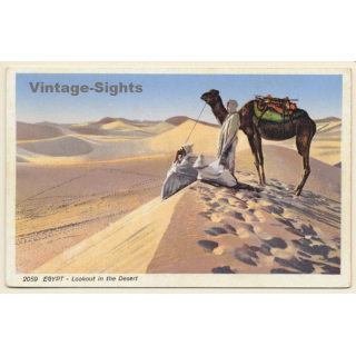 Lehnert & Landrock N°2059: Lookout in the Desert / Camels (Vintage PC 1910s/1920s)