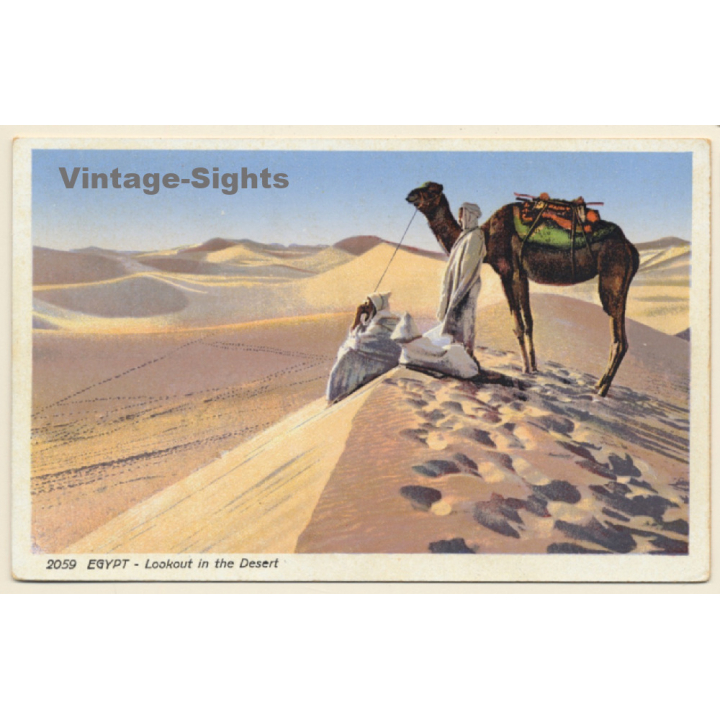 Lehnert & Landrock N°2059: Lookout in the Desert / Camels (Vintage PC 1910s/1920s)