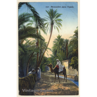 Lehnert & Landrock N°648: Rencontre dans l'Oasis / Camels (Vintage PC 1913)