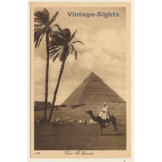 Lehnert & Landrock N°1044: Cairo - The Pyramids / Camel (Vintage PC 1910s/1920s)