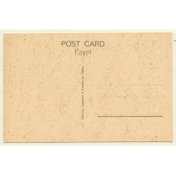 Lehnert & Landrock N°1044: Cairo - The Pyramids / Camel (Vintage PC 1910s/1920s)