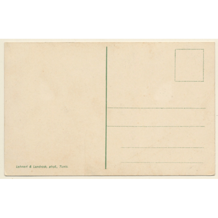 Lehnert & Landrock N°660: Arrivée d'un Mehariste / Camel (Vintage PC 1910s/1920s)