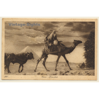 Lehnert & Landrock N°1060: Cairo - Eventide / Camel (Vintage PC 1910s/1920s)