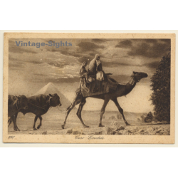 Lehnert & Landrock N°1060: Cairo - Eventide / Camel (Vintage PC 1910s/1920s)