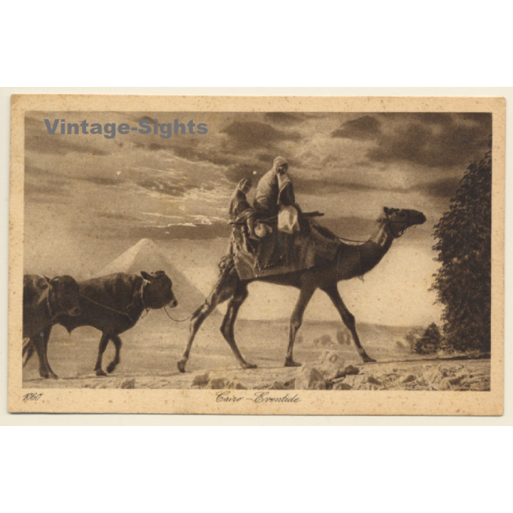 Lehnert & Landrock N°1060: Cairo - Eventide / Camel (Vintage PC 1910s/1920s)