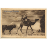 Lehnert & Landrock N°1060: Cairo - Eventide / Camel (Vintage PC 1910s/1920s)