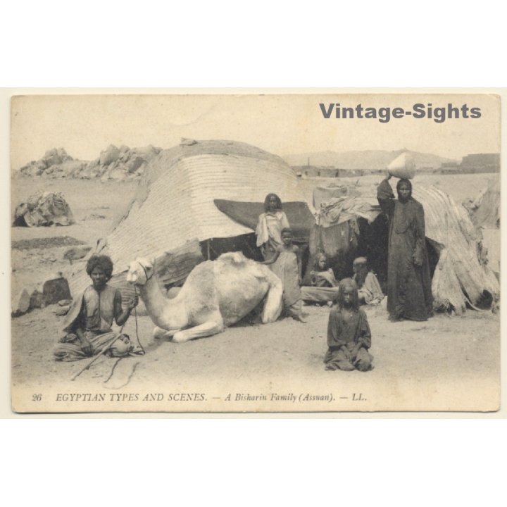 LL 26 / Egypt: Bisharin Family (Assouan) / Camel (Vintage PC 1910s/1920s)