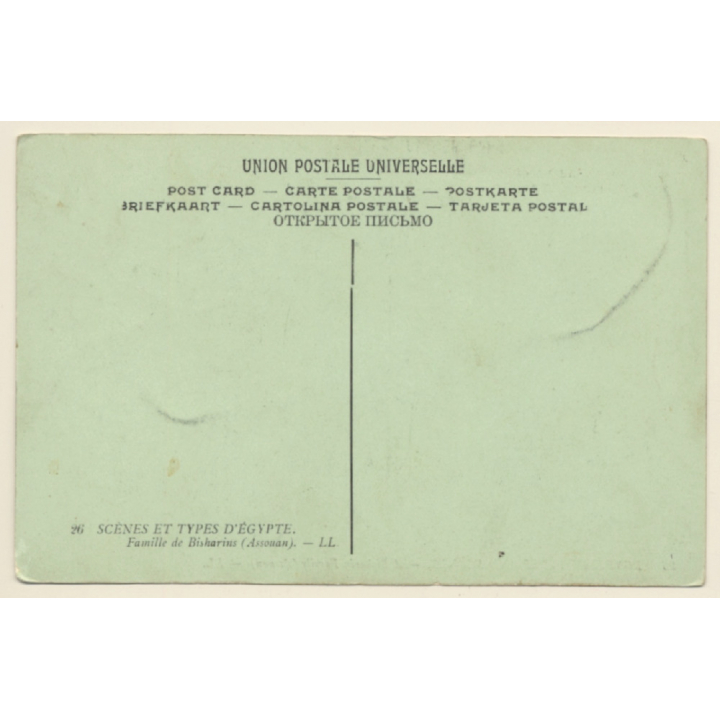 LL 26 / Egypt: Bisharin Family (Assouan) / Camel (Vintage PC 1910s/1920s)