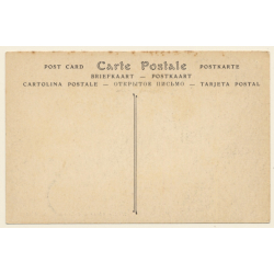 Tunisia: Chameau et Chamelier / Camel (Vintage PC 1910s/1920s)