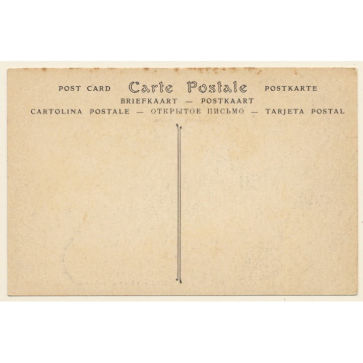 Tunisia: Chameau et Chamelier / Camel (Vintage PC 1910s/1920s)