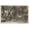 Egypt: El-Marg Village near Cairo / Camel (Vintage PC 1910s/1920s)
