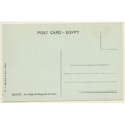 Egypt: El-Marg Village near Cairo / Camel (Vintage PC 1910s/1920s)
