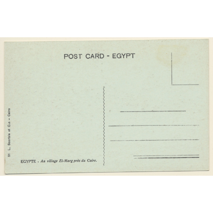 Egypt: El-Marg Village near Cairo / Camel (Vintage PC 1910s/1920s)