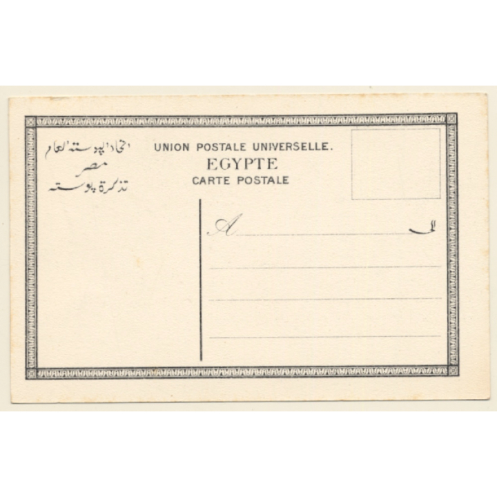 Egypt: Harvesting The Dates / Camels (Vintage PC 1910s)