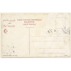 Egypt: Camel & Ox Plow / Agricultur (Vintage PC 1913)