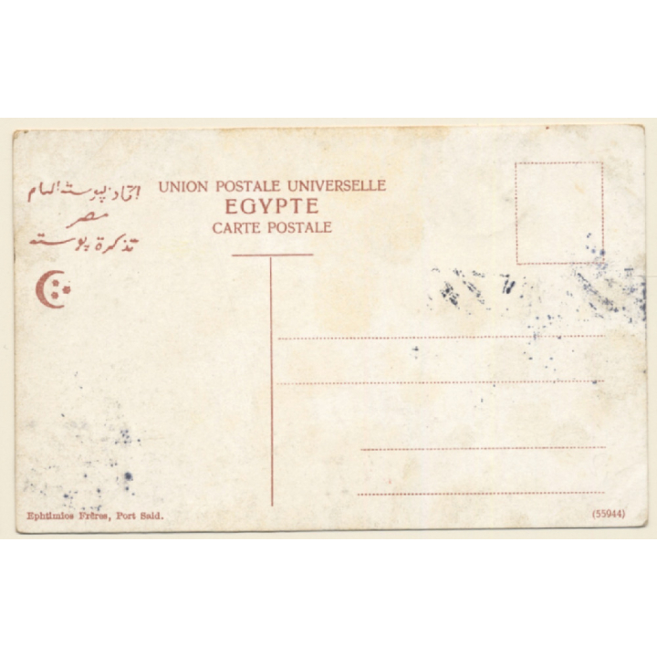 Egypt: Camel & Ox Plow / Agricultur (Vintage PC 1913)