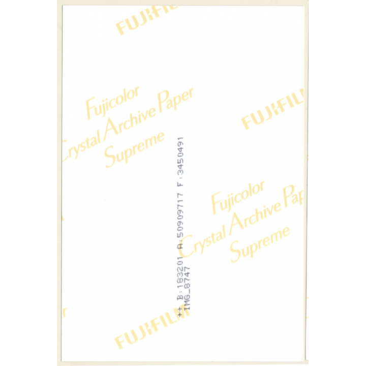 Erotic Study: Longhaired Blonde Semi Nude In Transparent Lingerie (Digital Photo Print ~2000s)