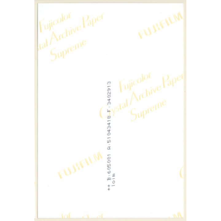 Erotic Study: Slim Longhaired Blonde Nude Standing (Digital Photo Print ~2000s)