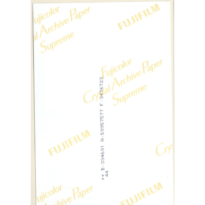 Erotic Study: Rear View Of Slim Blonde Nude Kneeling On Bed (Digital Photo Print ~2000s)