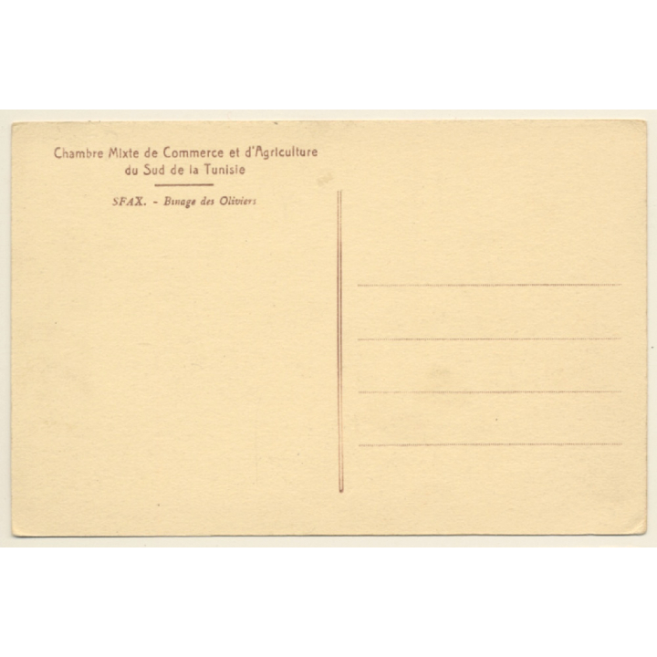 Tunisia: Binage des Oliviers / Camel Plucks Field (Vintage PC 1910s/1920s)