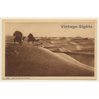 Maghreb: Les Grandes Dunes / Camel Caravan (Vintage PC 1910s/1920s)