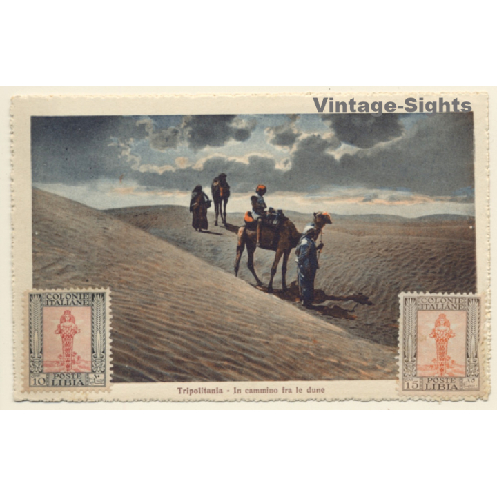 Tripolitania / Lybia: In Cammino Fra Le Dune / Camel Caravan (Vintage PC 1910s/1920s)