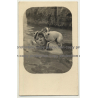 Woman In Water With Dog On Shoulder / Funny (Vintage PC B/W)