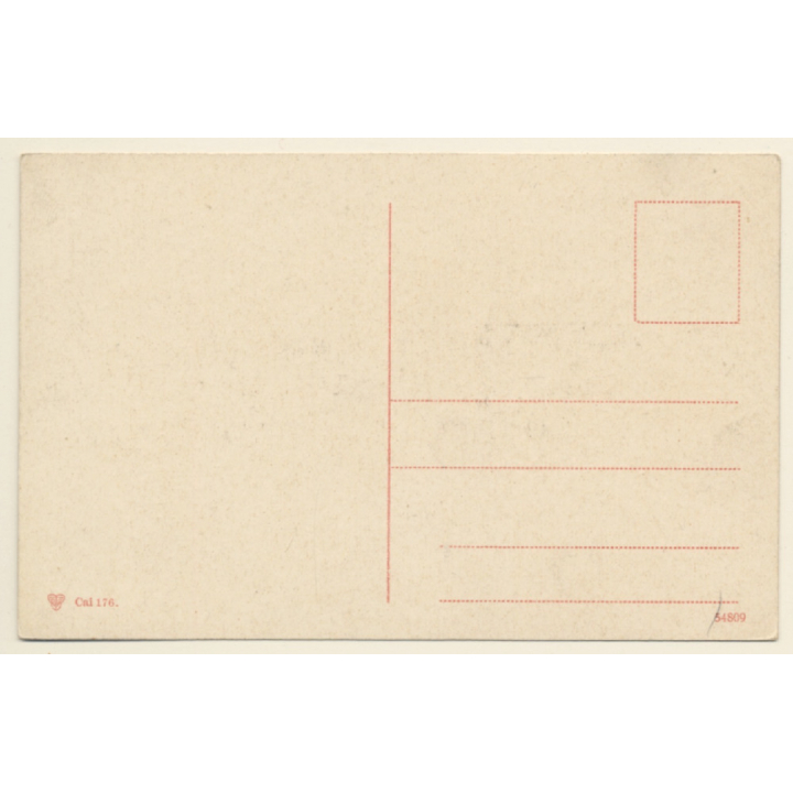 Maghreb: Chameaux d'un Mariage Arabe / Camel (Vintage PC ~1910s)