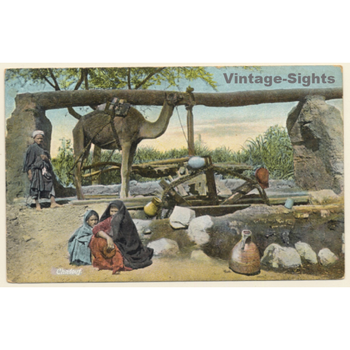 Egypt: Chadouf - Saqiyah - Scoop Wheel - Camel - Natives (Vintage PC ~1910s)