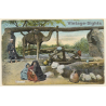 Egypt: Chadouf - Saqiyah - Scoop Wheel - Camel - Natives (Vintage PC ~1910s)