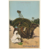 Scenes et Types 295: Bassour & Camel / Ethnic (Vintage PC 1910s/1920s)
