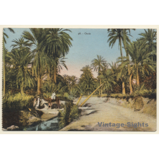 Tunisia: Oasis - Camels - Berber (Vintage PC 1927)