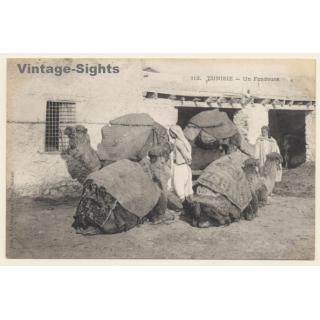 Tunisia: Un Fondouk - Nomads & Pack Camels (Vintage PC 1910s/1920s)