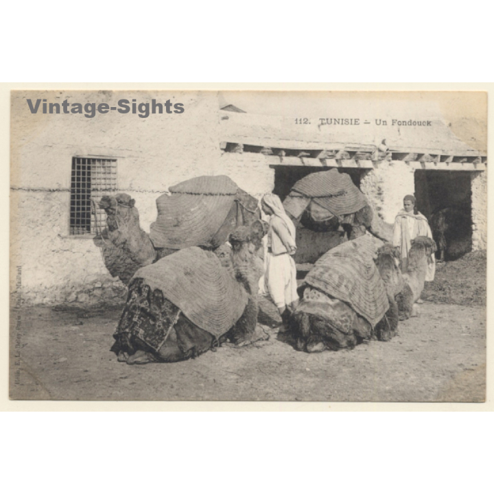 Tunisia: Un Fondouk - Nomads & Pack Camels (Vintage PC 1910s/1920s)