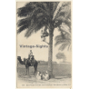 Egypt: Harvest of Dates / Camel - Palm Tree (Vintage PC 1910s/1920s)